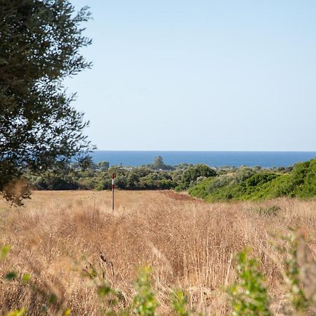 Masseria Scaledda Мандурия Экстерьер фото
